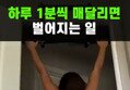 썸네일 이미지