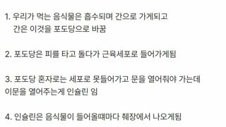 당뇨가 생기는 과정