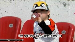 한화팬 근황