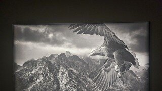 순대의 채상병 연평해전 관련 발언갖고 말이 많네요