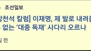 ㅈ선일보 : 