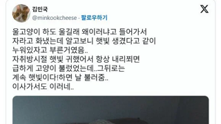 떼껄룩이 자꾸 울면서 부른 이유
