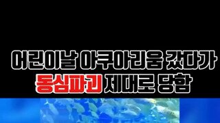 아쿠아리움