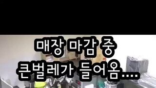 얼마나 크길래