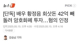 황정음 회삿돈 빼돌려 42억 암호화폐 투자