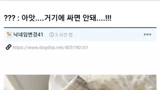 ??? : 왜 그렇게 쌀에 집착함? 쌀숭이임?...