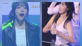 ㅇㅎ) 의외로 수요 있다는 중소 여자 아이돌