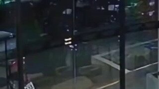 바람의 파이터 고양이