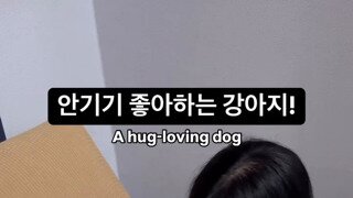 행복한 강아지.mp4...
