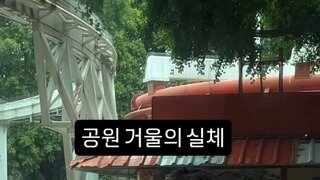 공원 거울