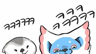 21대 대선 후보별 주요공약-뉴스핌