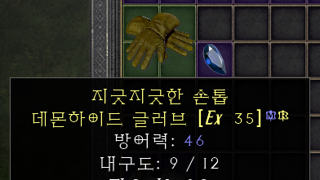 자벨마 장갑 시세가 있을까요?