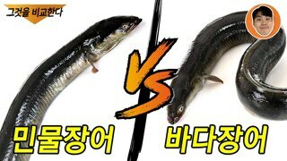 안주할려고하는데 어떤게 맛있나요?