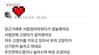 당근에 있었던 사건사고