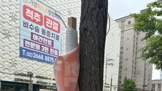 선거 현수막 근황.jpg