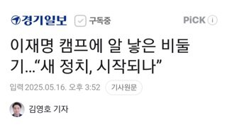 이재명 캠프에 알 낳고 사라진 비둘기..새 정치 시작되나