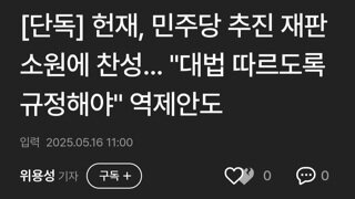 헌재 민주당 추진중인 재판소원 대찬성