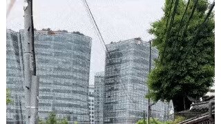 한국 여행 온 외국인들 근황