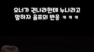 Lck 직관온 권나라 언급하는 티원 오너.mp4