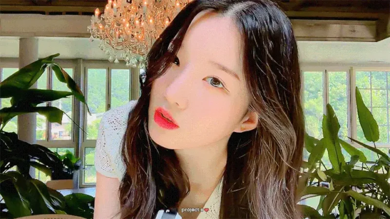 배너