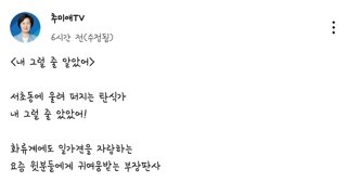  추미애