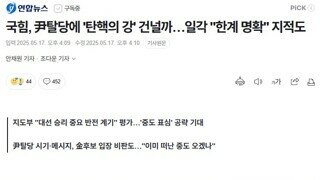 한 겨울에 광화문에서 눈 비 맞으며 덜덜 떨어가며 탄핵했는데 국민의힘 이것들이 장난하나