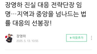 국힘 캠프 진실대응 전략단장