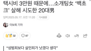 택시비 3만원 때문에…소개팅女 ‘백초크’ 살해 시도한 20대男
