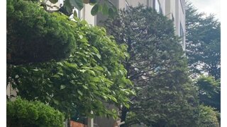 의외로 아파트 나무에서 볼 수 있는 것
