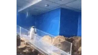 제가 예민한걸까요? 너무 심란합니다