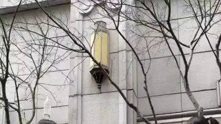 몸매 지리는 태권도 발차기녀