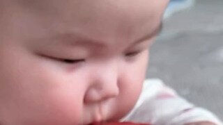 찐빵과 토마토의 숨막히는 대결