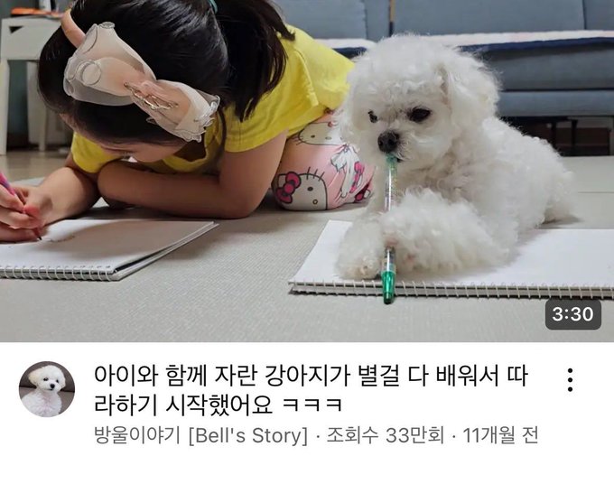 다 이미지