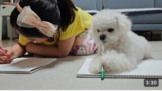 아이와 함께 자란 강아지가 별걸 다 배움