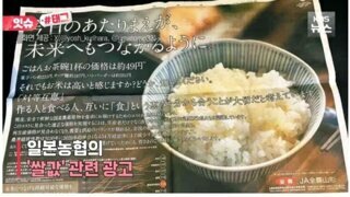 일본 쌀가격 상승의 원인