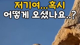 친구인가