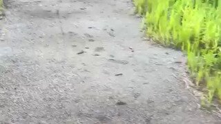 업어줘요