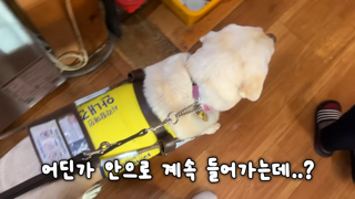 “안내견 안돼” 시각장애인 ‘불꺼진 구석방’ 밀어넣은 부산 횟집