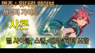 샤콘 종합 가이드 | 에코, 조합, 딜 사이클 |