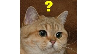 이준석 저 화법,대화방식 누구한테 배움?