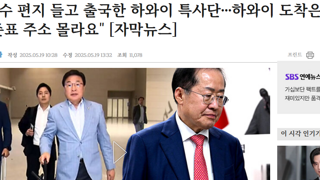 하와이 특사단 근황