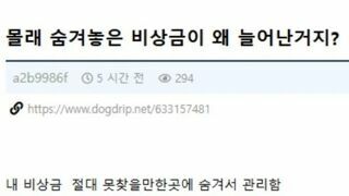 공포) 숨겨둔 비상금이 늘어났다