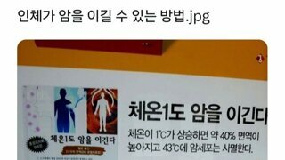 인체가 암을 이길 수 있는 방법