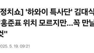 [정치쇼] '하와이 특사단' 김대식 