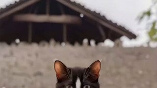 [약후방] 불호가 없을 도자기녀.mp4...