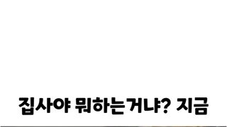 짜증난 고양이