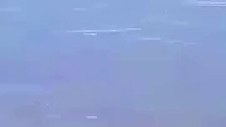 새끼 지키는 어미새.mp4...