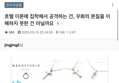 썸네일 이미지