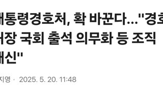 대통령경호처, 확 바꾼다…'경호처장 국회 출석 의무화 등 조직 쇄신'