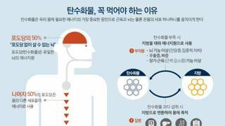 탄수화물, 꼭 먹어야 하는 이유
